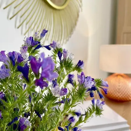 Stella Di Ballaro Palermo